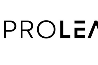 Elevate Your Albany Business with ProLeads: Premier SEO Solutions for Success